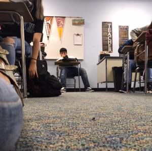 Meet your Posher, Brayan